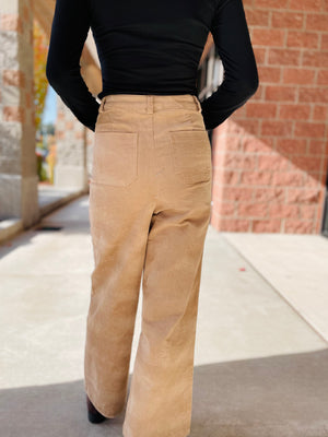 Elise Wide Leg Suede Pants