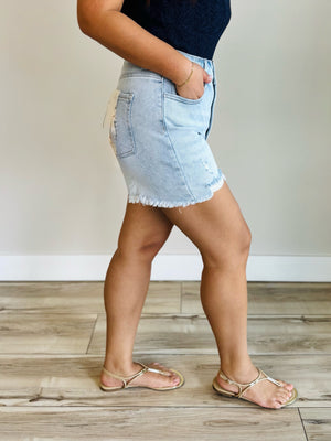 Kendal High Rise Distressed Shorts