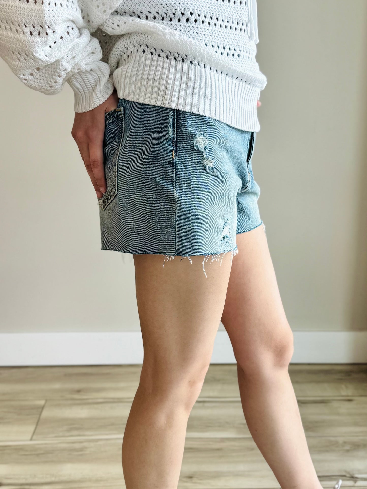 Brittany High Rise  Raw Hem Denim Shorts - 27 West