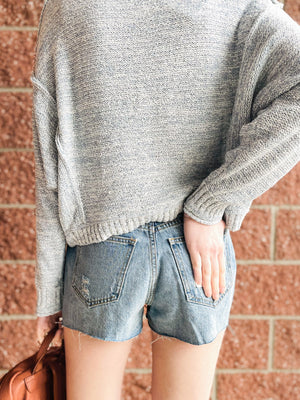 Brittany High Rise  Raw Hem Denim Shorts