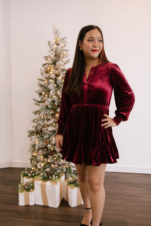 Myra Velvet Mini Dress